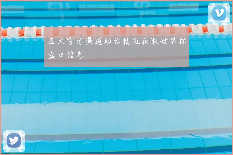 五大官方渠道助你精准获取世界杯盘口信息